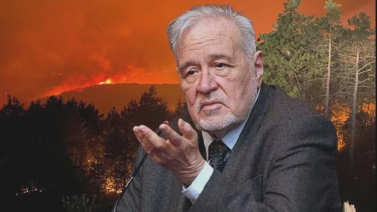 Prof. Dr. İlber Ortaylı: Orman personelimizin sayısı artırılmalı, eğitimlerine önem verilmeli, maaşları düzenlenmelidir