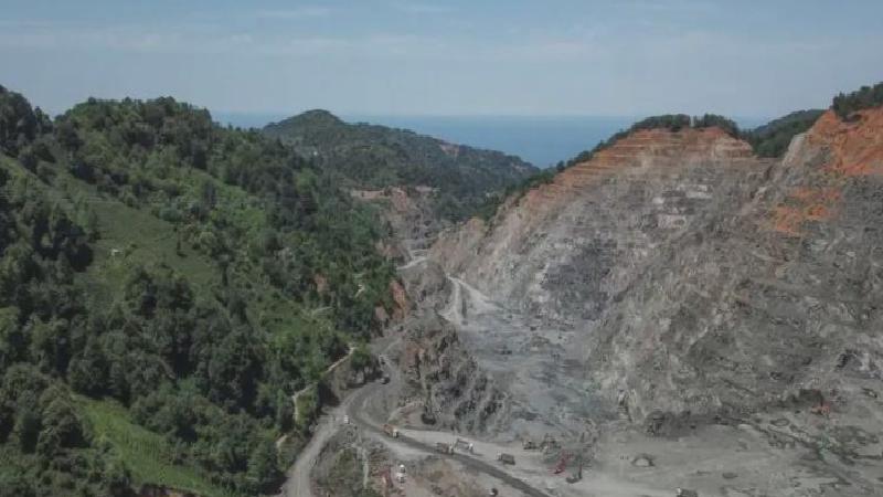 Yangınlar, madenler, enerji projeleri: Türkiye’nin ormanlarına karşı en büyük tehdit hangisi?