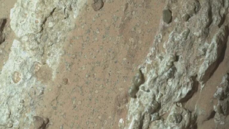 Mars’ın ‘leopar desenli’ kayalarında geçmiş yaşamın izleri bulunmuş olabilir