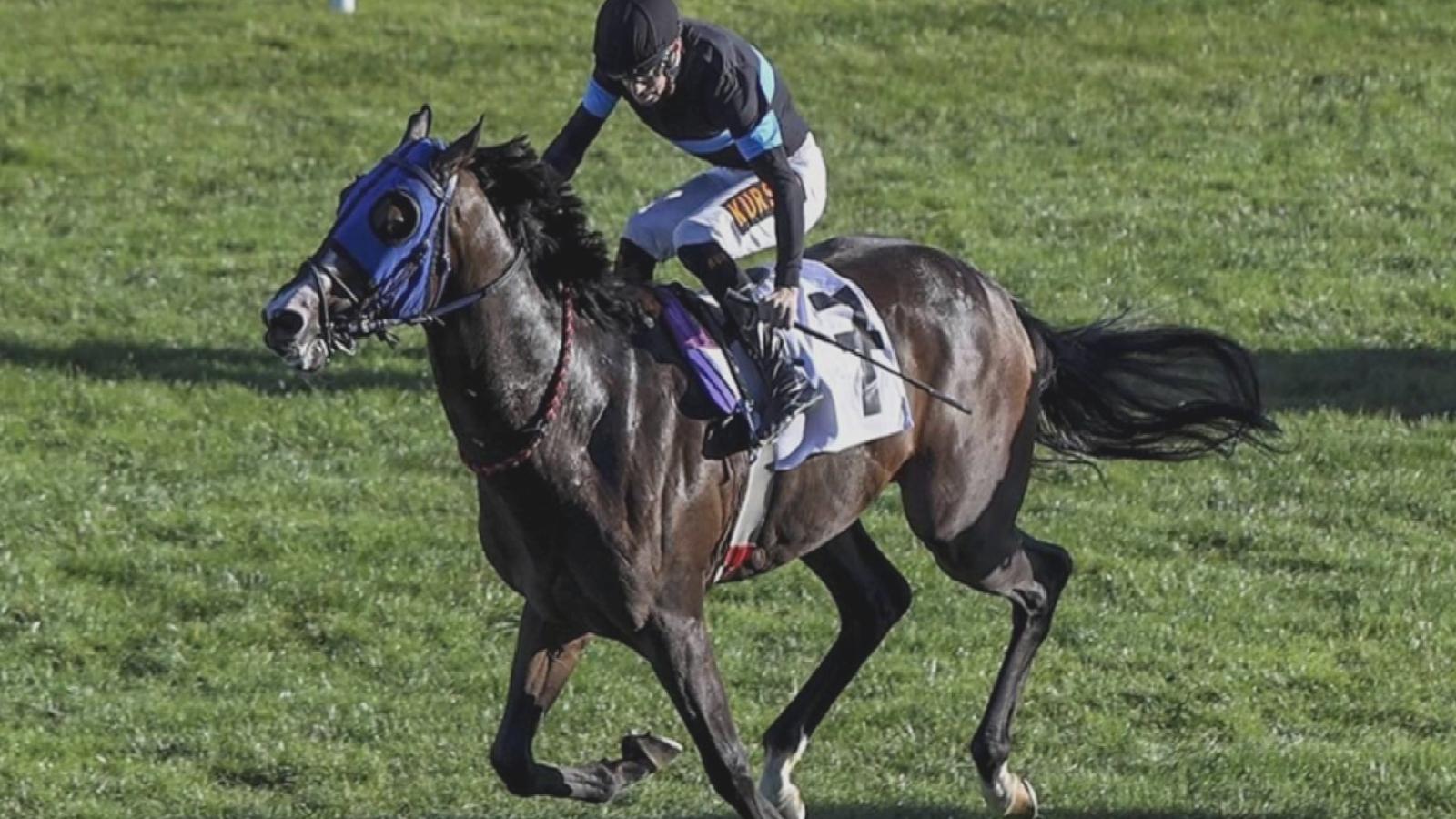 At yarışlarında 45. Cumhuriyet Koşusu ve 87. Cumhurbaşkanlığı Koşusu, Ankara’da yapılacak