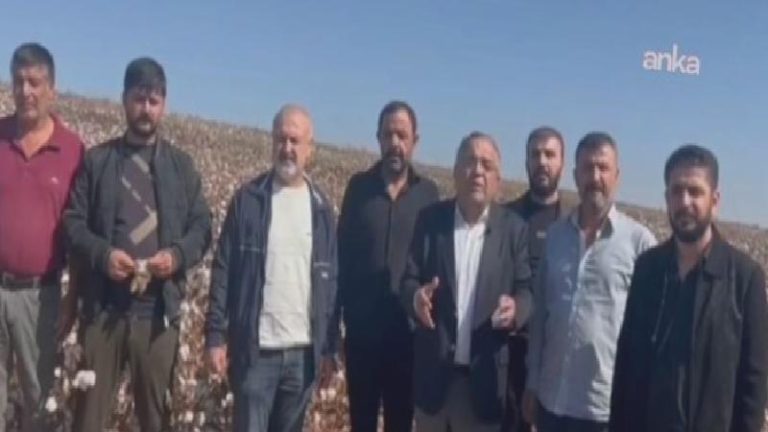 CHP’li Tanrıkulu: Bu yıl da destek verilmezse bölgede pamuk üretimi neredeyse sıfıra düşecek!