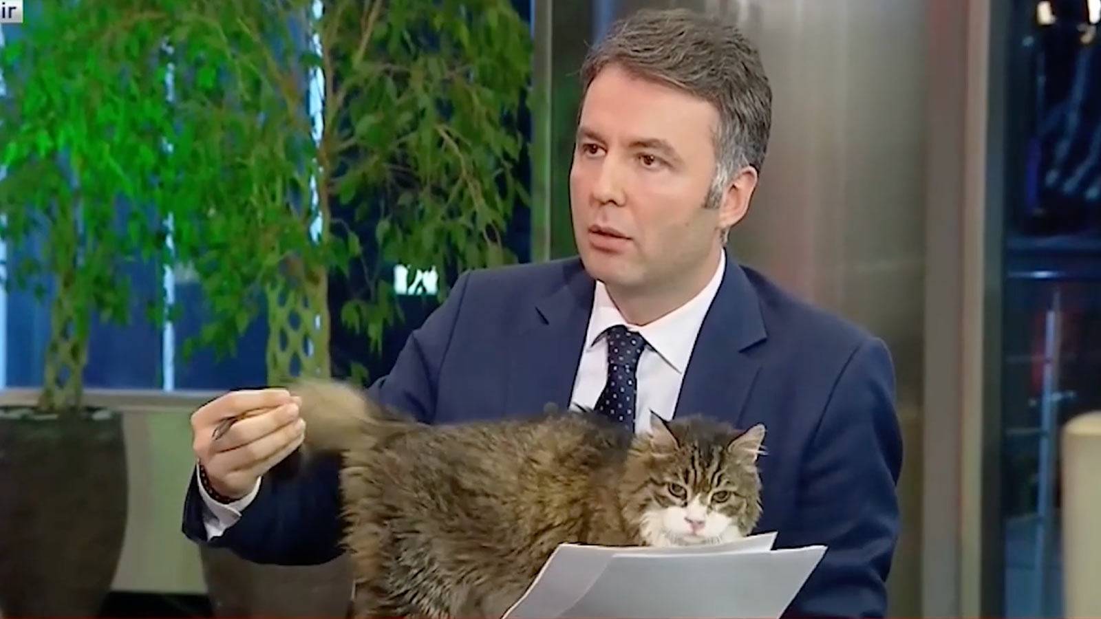 AKP’li Şamil Tayyar’dan ‘Ersoy’dan daha bilinen bir isim’ var sözlerine ilişkin açıklama: Yarın dosyaya girecek herkes öğrenecek