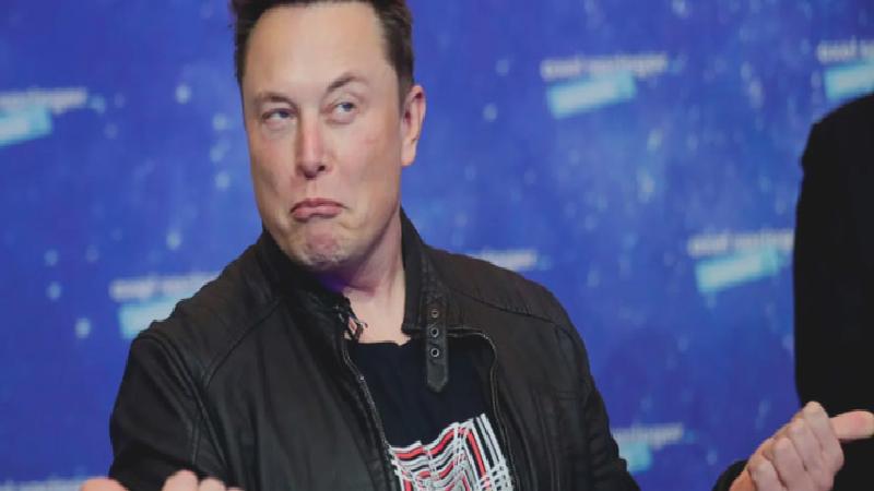 Dünyanın en zengin insanı Elon Musk geçen yıl ne kadar bağış yaptı?
