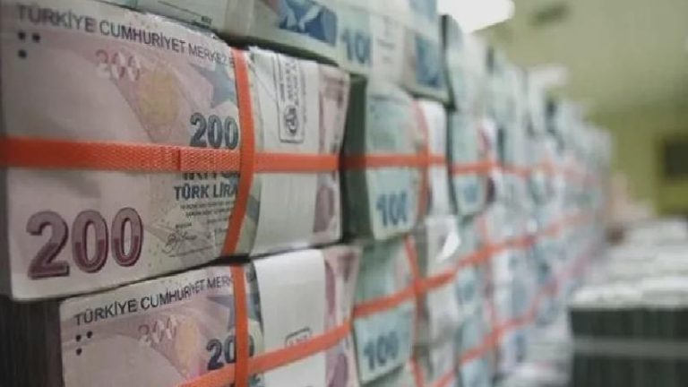 Bütçe şubatta 24,4 milyar TL fazla verdi