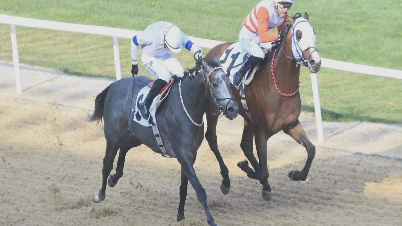 Ege Derbisi’ni, Mustafa Çiçek’le The Protecter kazandı