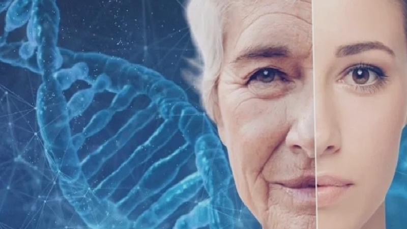 Rusya, hücresel yaşlanmaya karşı aşı geliştiriyor