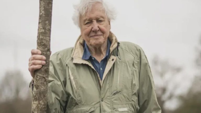 David Attenborough: Doğaya bakışımızı değiştiren belgeselci 100 yaşında