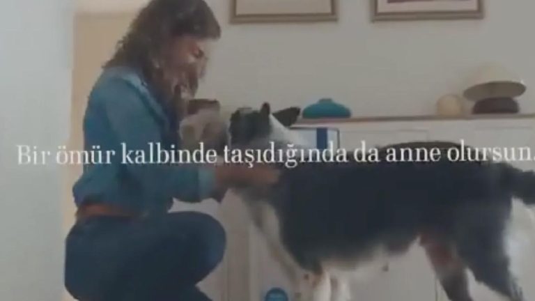 Ertuğrul Özkök: Sayın Aile Bakanı, size Kulaksız köyünden çok ciddi itiraz var
