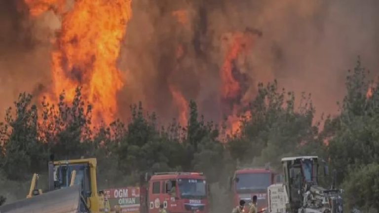 Ormanlara girişler kısıtlandı, uzmanı yangınlara karşı uyardı: Yüzde 99’u insan kaynaklı sebeplerden yanıyor; bütçe yangından sonrası için ayrılmış