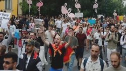 Arnavutluk’ta ‘flamingo’ protestoları: Nasıl başladı, neler yaşandı?
