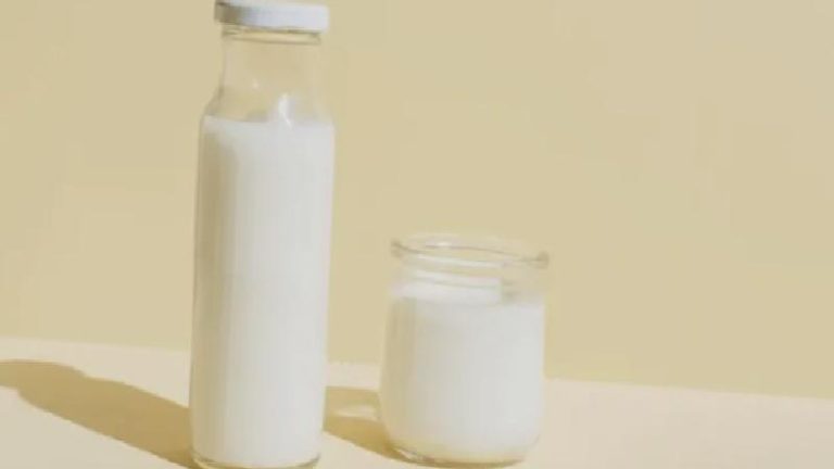 Hangi bitkisel süt en iyisi?