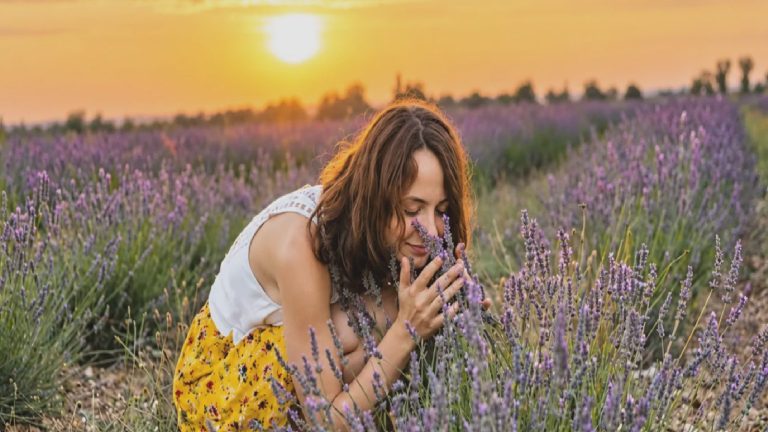Araştırma: Lavanta yağı kapsülü depresyon belirtilerini azaltabilir